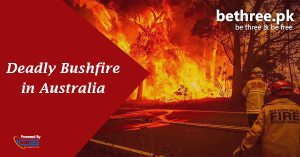 Bushfires